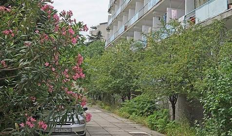 Ялтинский городской пансионат. Крым, Ялта