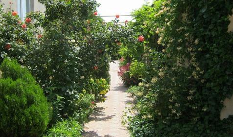 Гостевой дом Old Garden (Олд Гарден) (бывш. Москвичка). Крым, Межводное