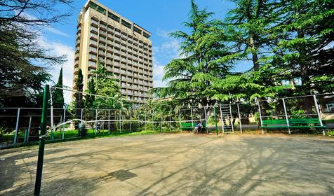 Пансионат Amza Park Hotel (быв. Энергетик). Республика Абхазия, Гагра