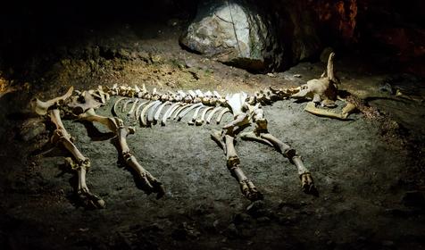 Подземный палеонтологический музей, пещера Эмине-Баир-Хосар, Симферопольский район, Крым