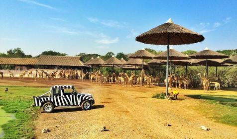 Зоопарк Safari World, Бангкок, Таиланд
