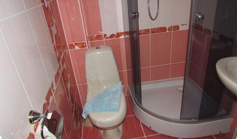 Стандарт двухместный (вид на парк), корпус Парк