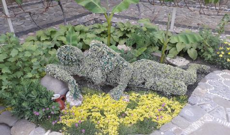 Лоза