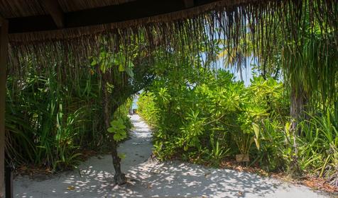 Beach Villa