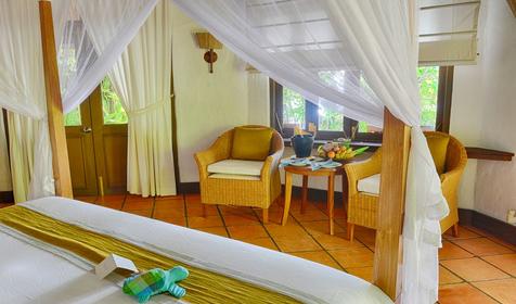 Deluxe Villa