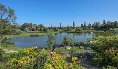 Санаторий Черноморец, Крым