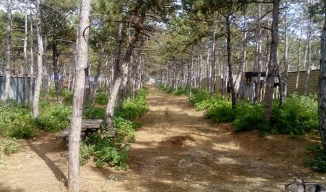 Гостевой дом Алексия, Крым, Бахчисарайский район, Песчаное