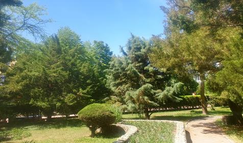 Детский оздоровительный лагерь Лучистый, Крым, Евпатория, Заозерное