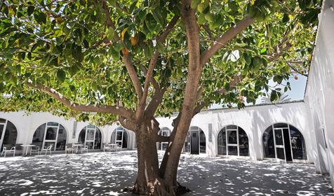 Palmyra Club Nabeul