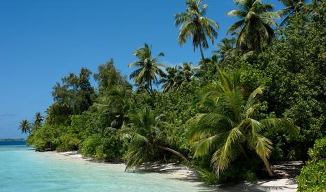 Biyadhoo Island Resort