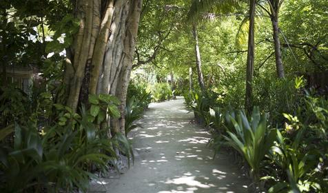 Biyadhoo Island Resort
