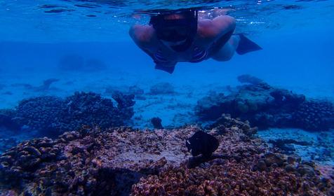 Biyadhoo Island Resort