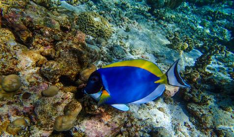 Biyadhoo Island Resort