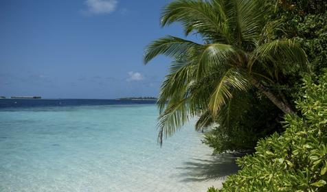 Biyadhoo Island Resort