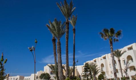 Telemaque Beach&Spa