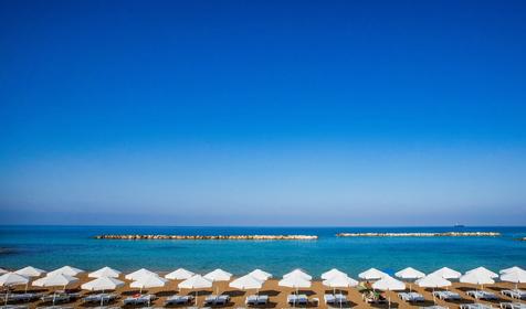 Venus Beach
