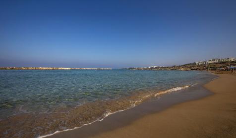 Venus Beach