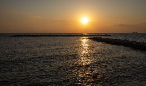Venus Beach