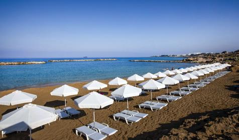 Venus Beach