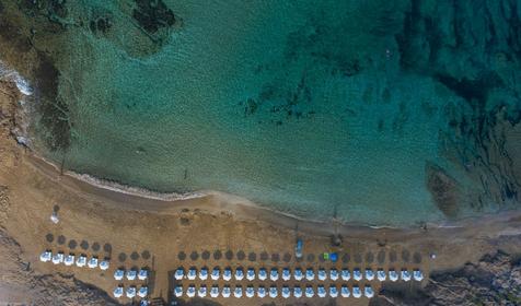 Venus Beach