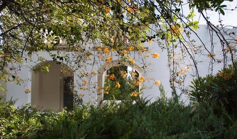 Garden Studio Suite