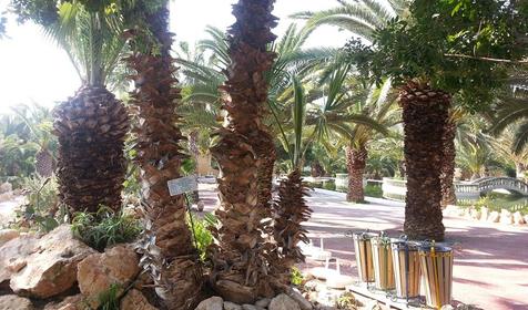 Mediterranee Thalasso Golf