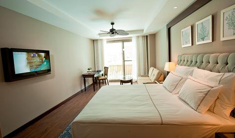 Doublex Swim Up Suite
