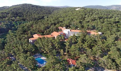 Forest Park Hotel