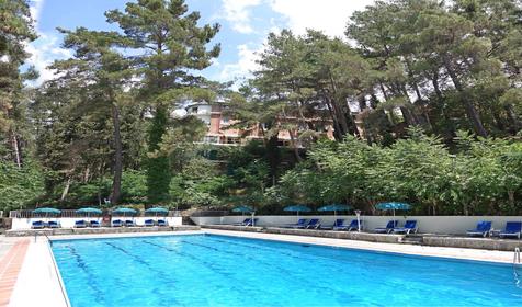 Forest Park Hotel