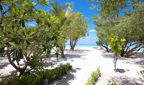 LUX* South Ari Atoll