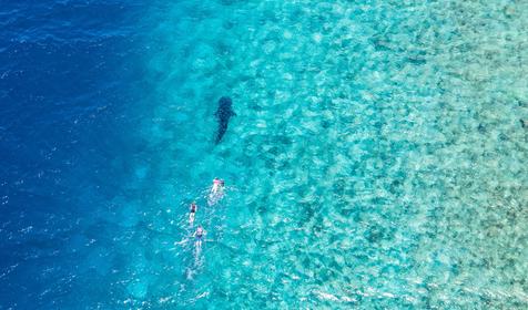 LUX* South Ari Atoll