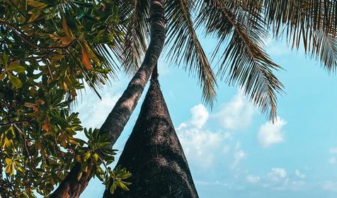 LUX* South Ari Atoll