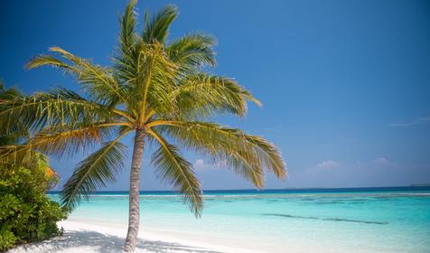 Coco Palm Dhuni Kolhu