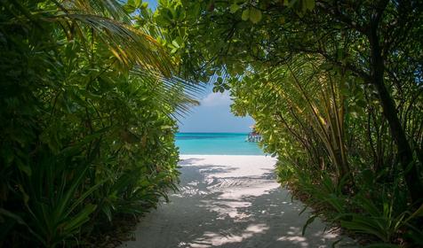 Coco Palm Dhuni Kolhu