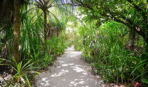 Coco Palm Dhuni Kolhu