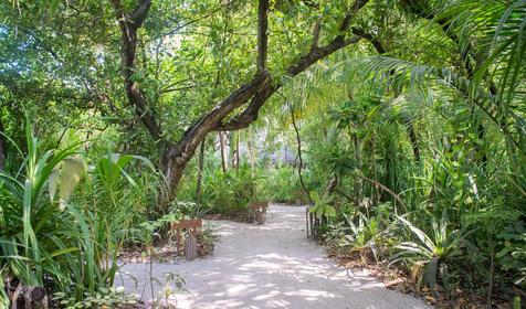 Coco Palm Dhuni Kolhu