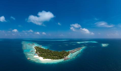 Coco Bodu Hithi