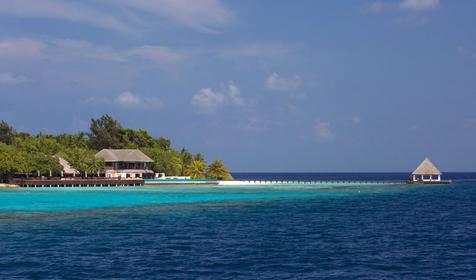 Coco Bodu Hithi