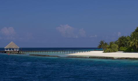 Coco Bodu Hithi