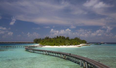Coco Bodu Hithi