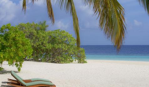 Coco Bodu Hithi
