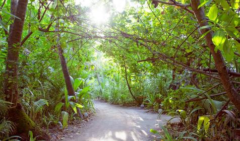 Coco Bodu Hithi