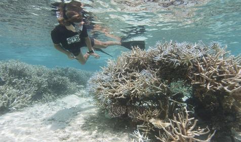 Coco Bodu Hithi