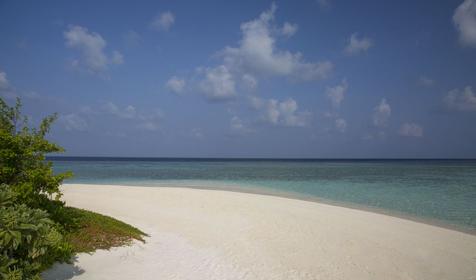 Coco Bodu Hithi