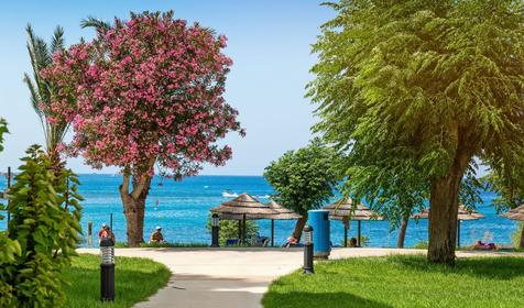 Nausicaa Beach