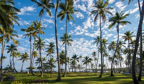Grand Paradise Samana