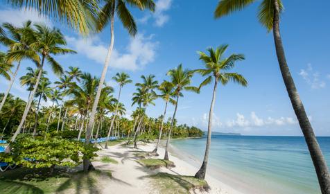 Grand Paradise Samana