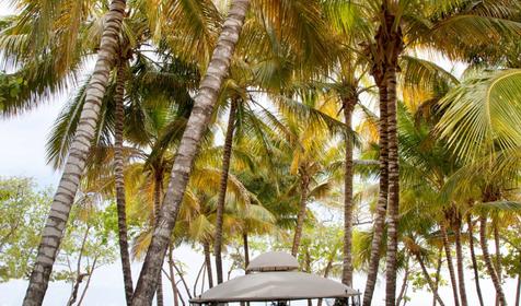 Iberostar Costa Dorada