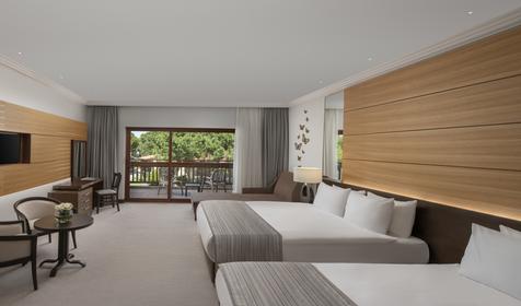 Superior Room Garden View
