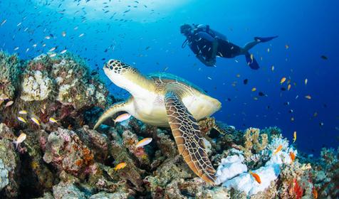 Brennia Kottefaru Maldives